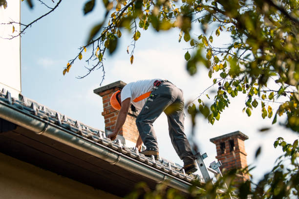 Best Roof Leak Repair  in Hermantown, MN