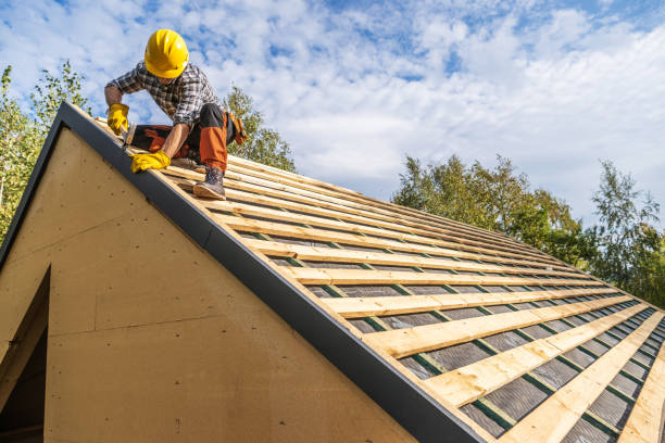 Best Local Roofing Companies  in Hermantown, MN